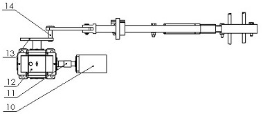 Adjustable hippophae rhamnoides branch and fruit clamping and vibrating harvesting device