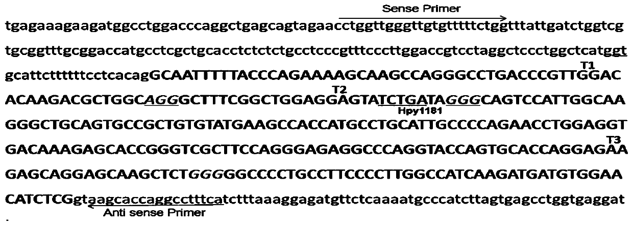 A method for quickly establishing an animal model of Parkinson's disease by knocking out the substantia nigra gene