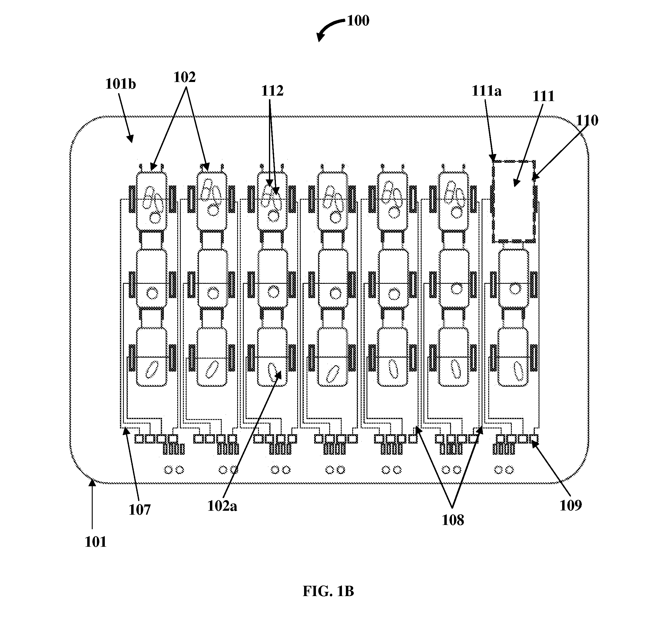 Medication Organizer Tray Apparatus