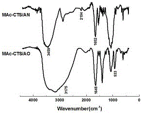 Amidoxime group-containing chitosan modified adsorbent and preparation method thereof