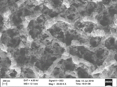 Amidoxime group-containing chitosan modified adsorbent and preparation method thereof