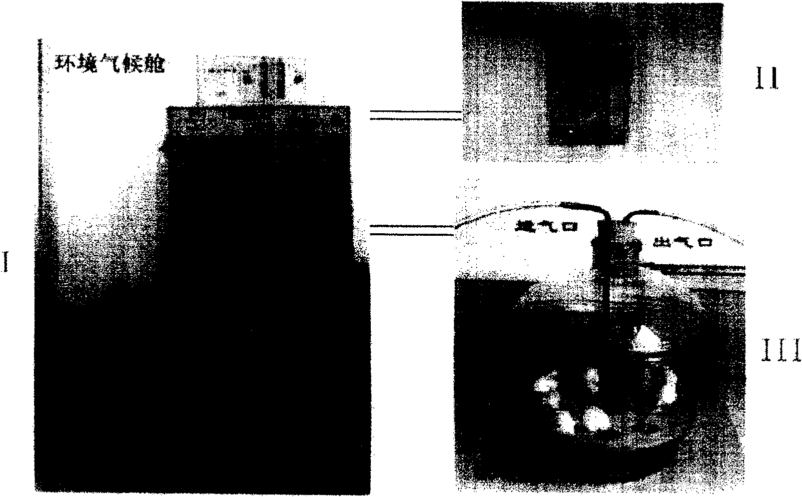 Standard gaseous formaldehyde dynamic contamination device