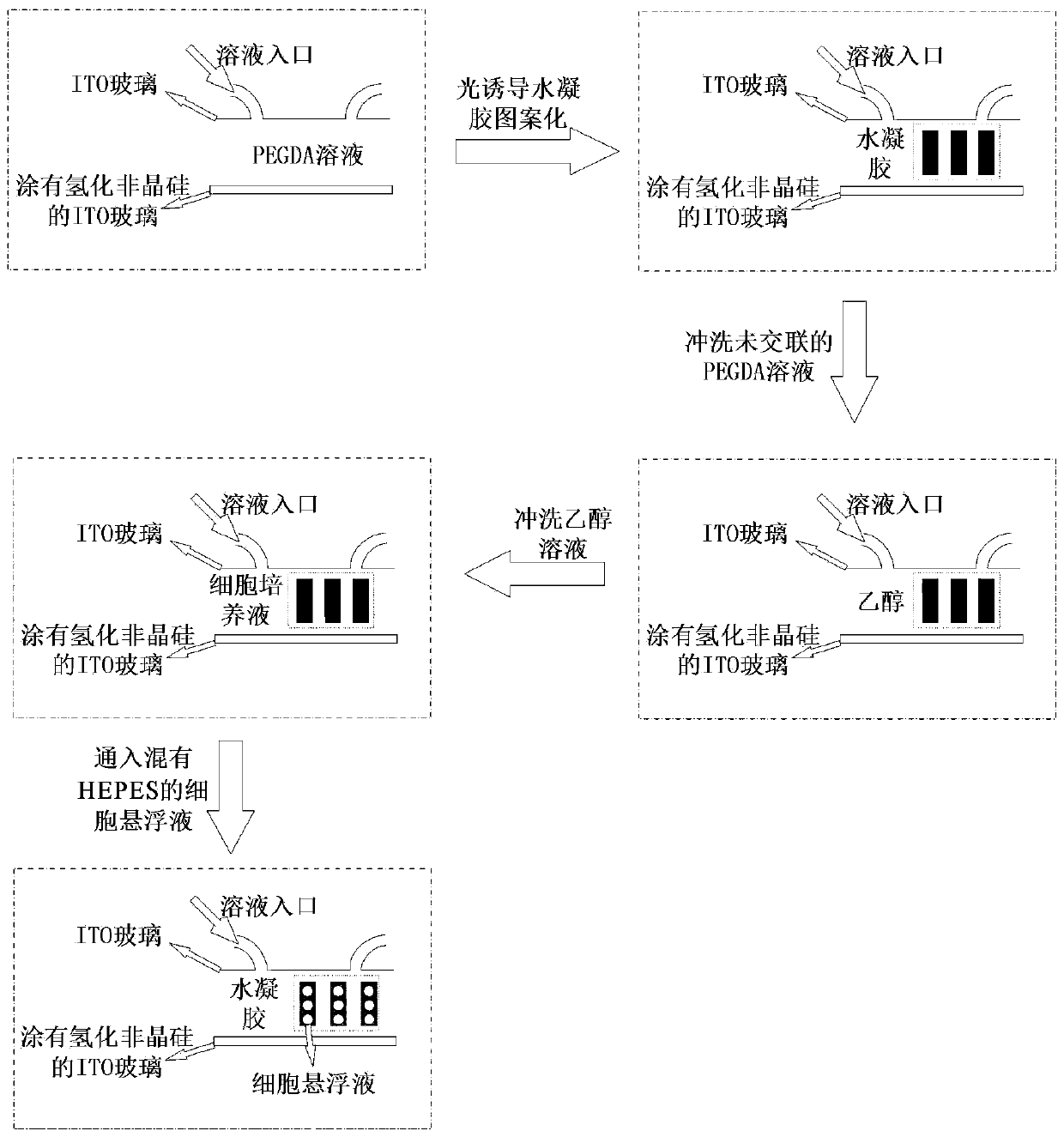 A real-time monitoring system and method for single cell biophysical properties