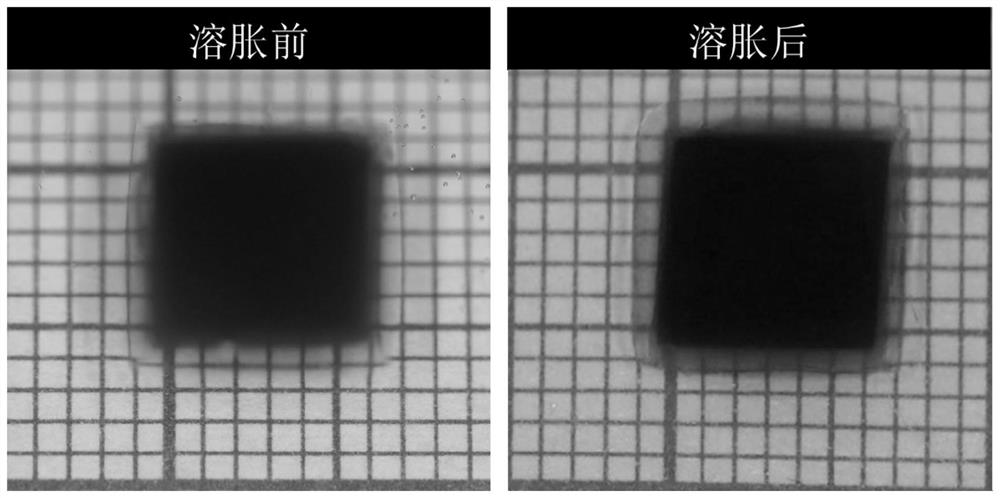 Anti-swelling composite hydrogel, and preparation method and application thereof