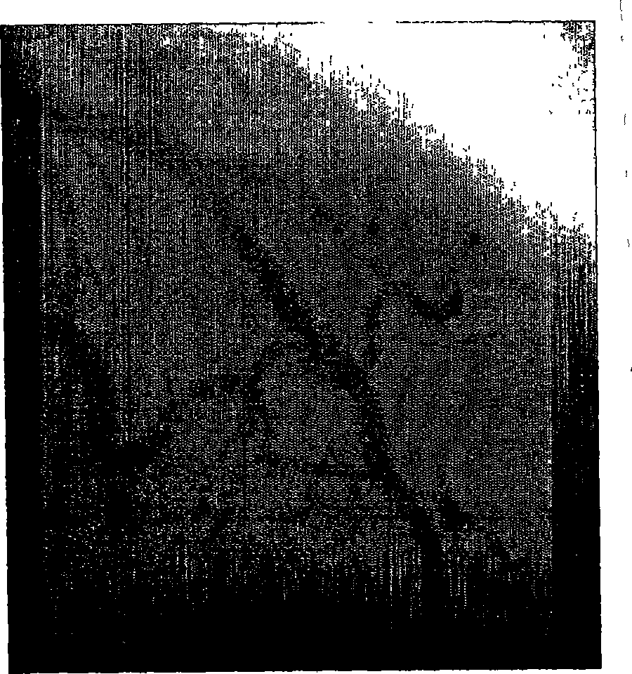 System and method for three-dimensional reconstruction of a tubular organ