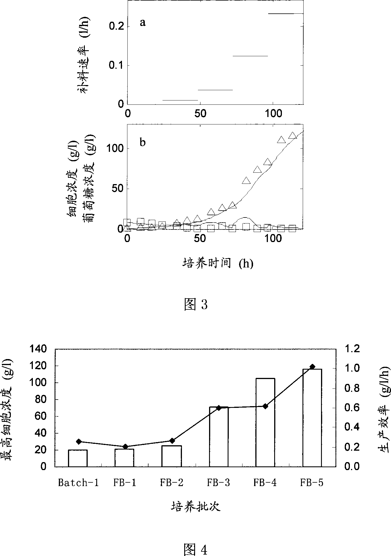 Feeding optimizing method for heterotrophically culturing chlorella