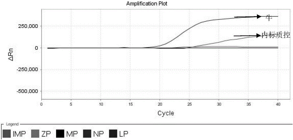 Nested fluorescent PCR detection primer, probe, kit and detection method of donkey-origin, horse-origin, swine-origin and bovine-origin in donkey-hide gelatin, and applications thereof