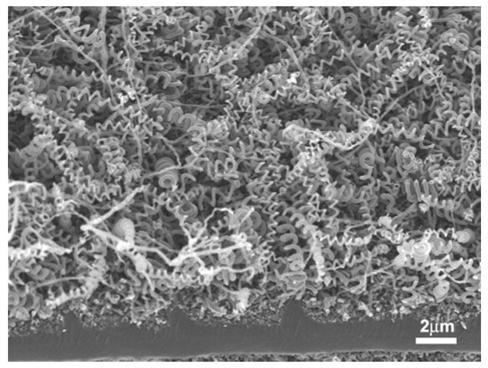 Method for growing helical carbon nanotubes on wood-derived porous carbon