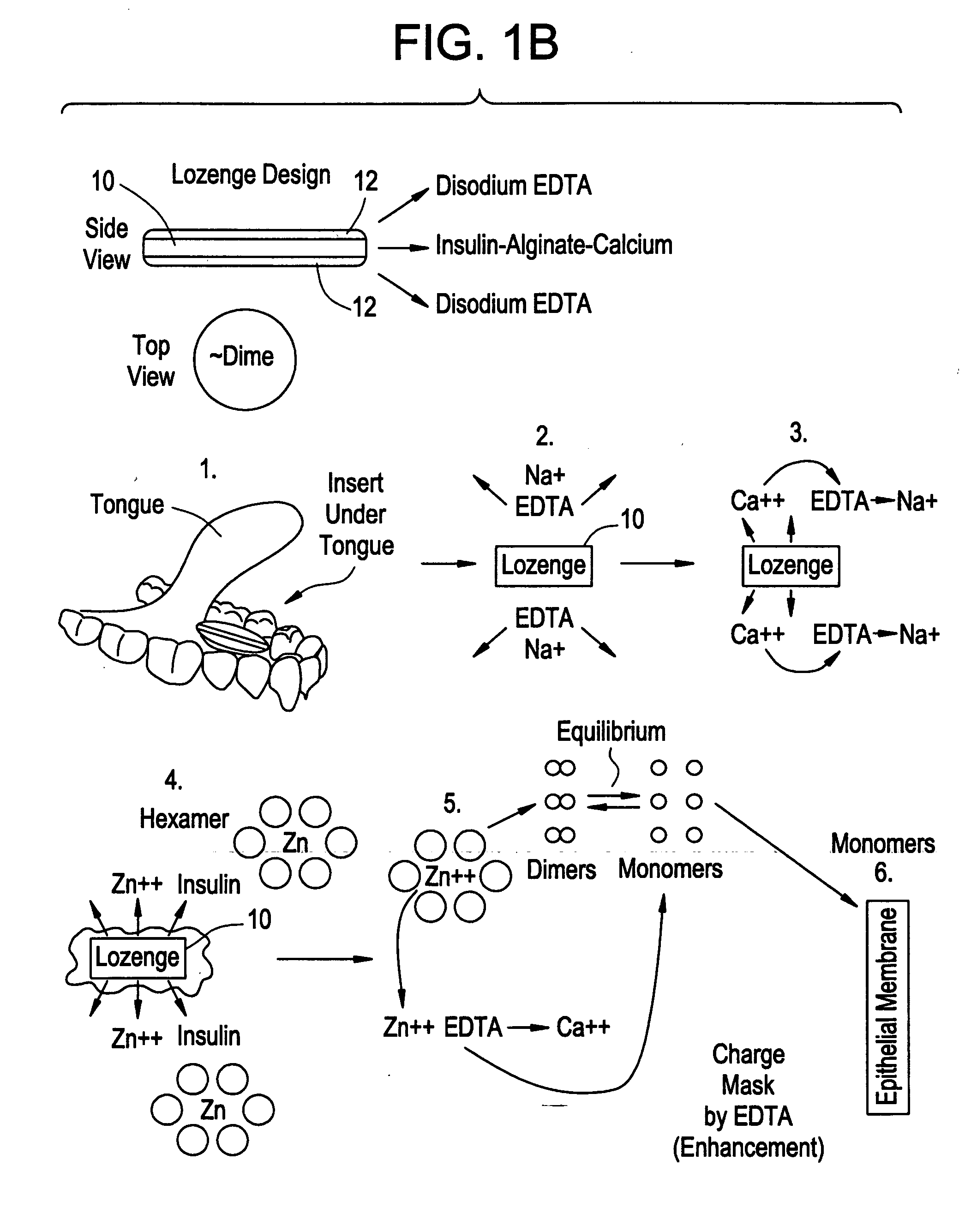 Rapid acting drug delivery compositions