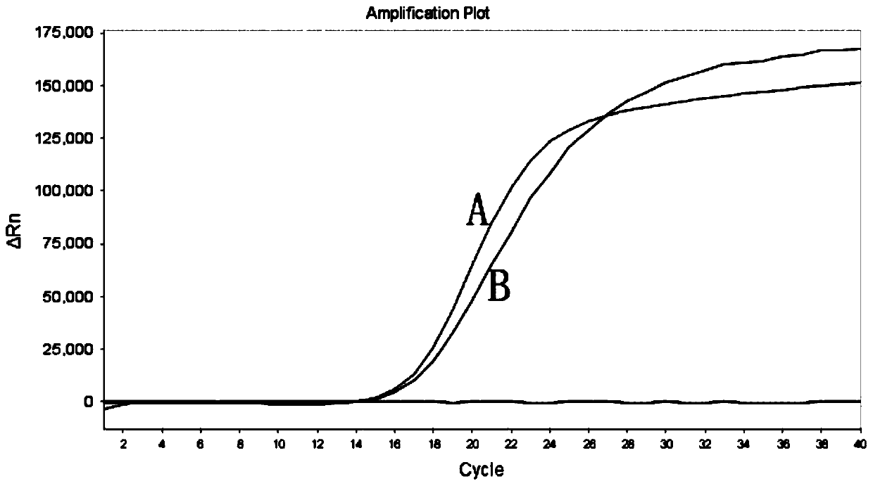 Multiple-fluorescence quantitative PCR primers, kit and detection method for detection of multiple types of bacteria