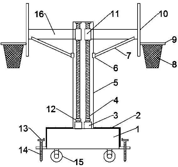 Adjustable multi-sided basketball stand for physical education