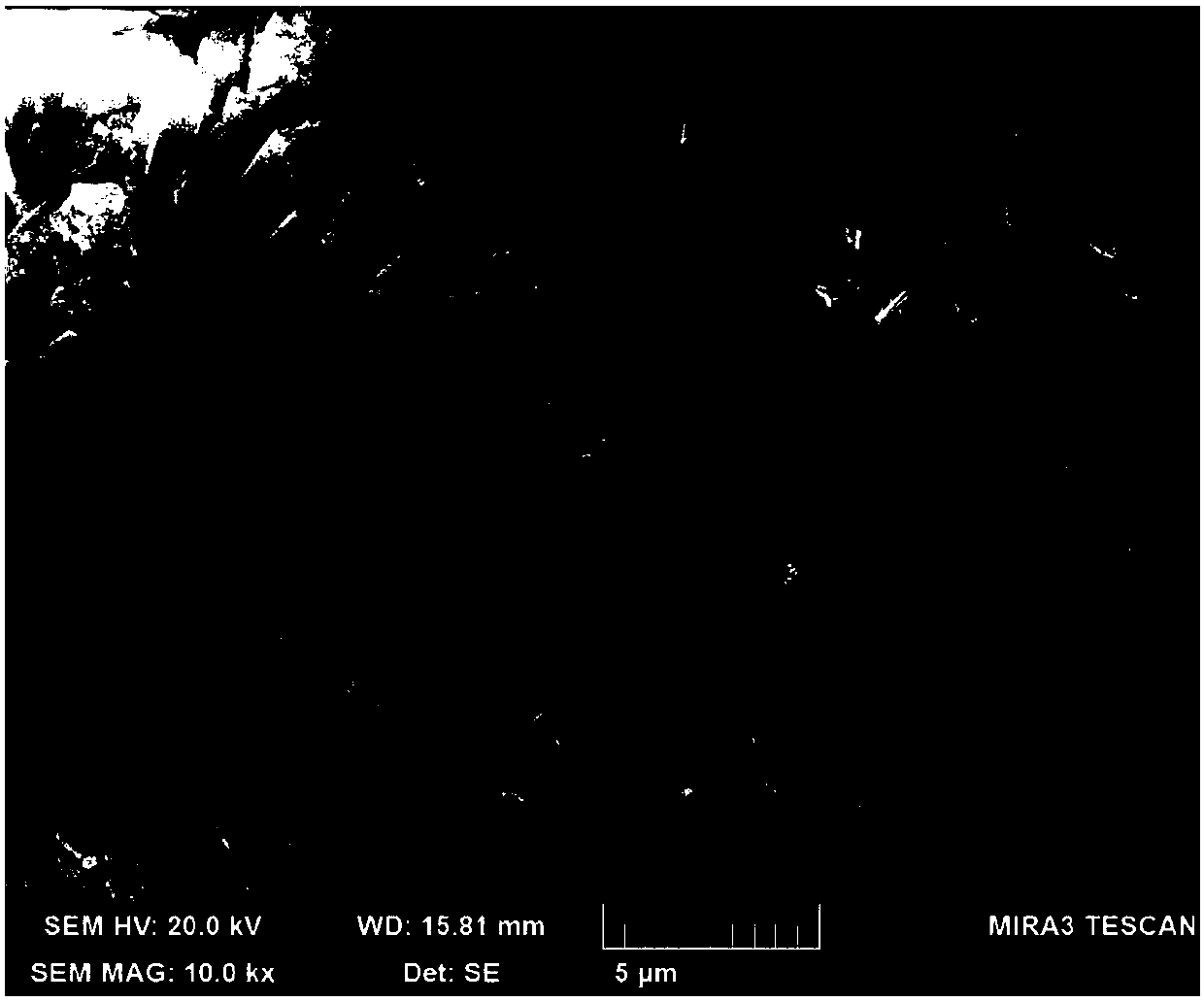 Spherical nickel cobalt aluminum precursor and preparation method therefor