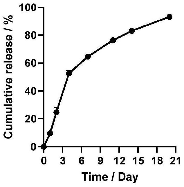 Composition for long-acting supplement of arginine and neutralization of acid environment by targeting immune cells and application thereof