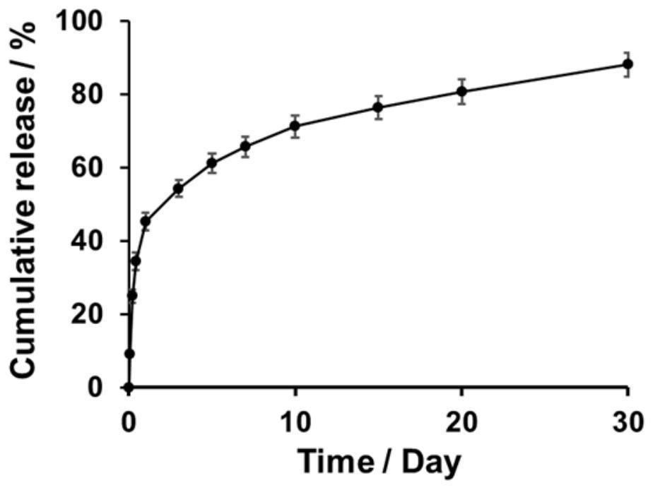 Composition for long-acting supplement of arginine and neutralization of acid environment by targeting immune cells and application thereof