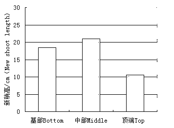 Efficient cutting propagation method for aerospace sterile materials of sorghum bicolor