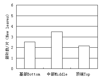 Efficient cutting propagation method for aerospace sterile materials of sorghum bicolor