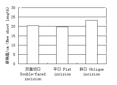 Efficient cutting propagation method for aerospace sterile materials of sorghum bicolor