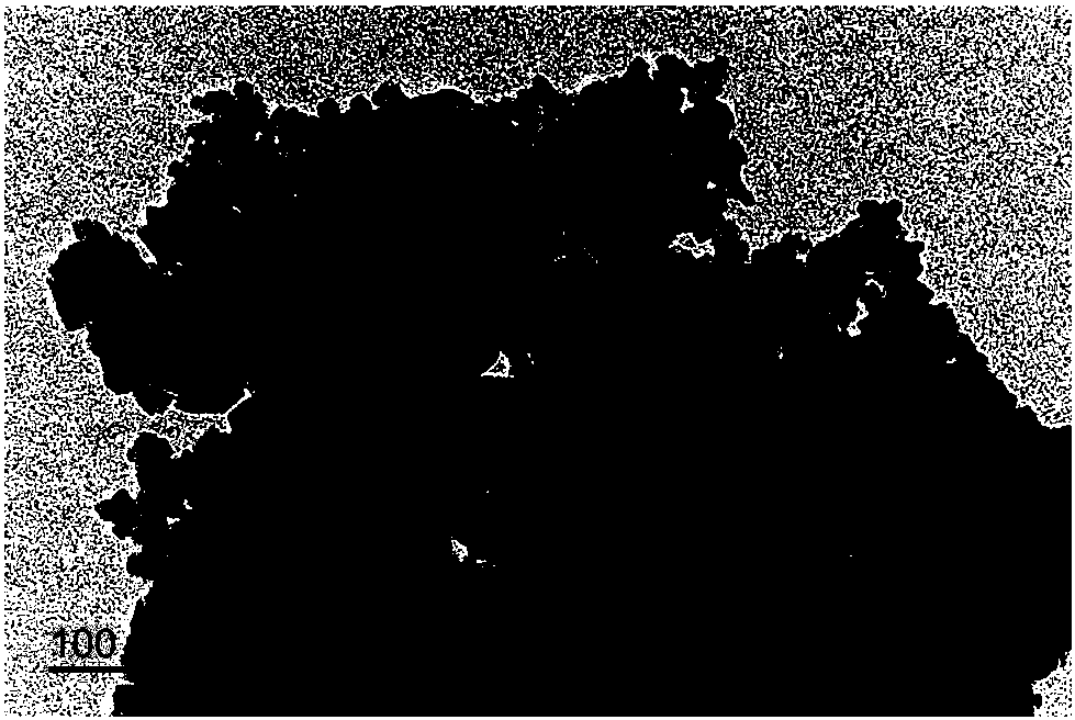 NaTaO3/Sr2FeTaO6/alumina composite catalyst for flue gas denitrification, and preparation method thereof