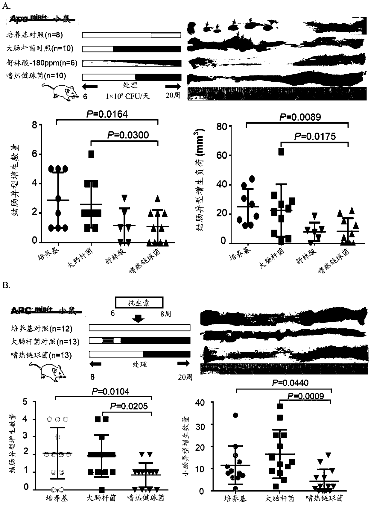 Therapeutic and prophylactic treatment for colorectal cancer