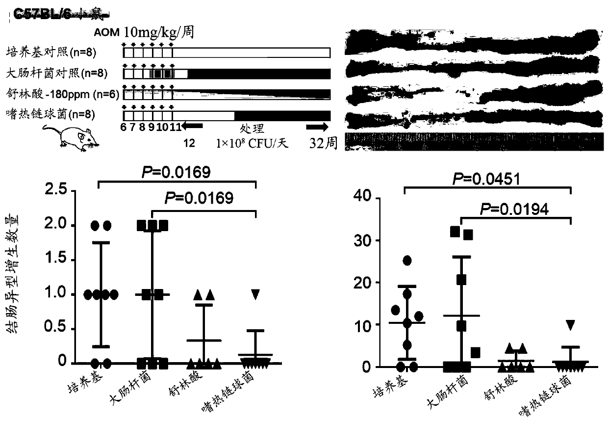 Therapeutic and prophylactic treatment for colorectal cancer