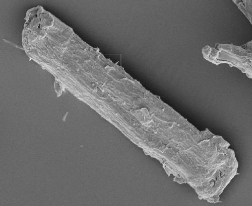 Nanometer cellulose/cellulose compound, enhanced polylactic acid 3D printing material and preparation method of enhanced polylactic acid 3D printing material