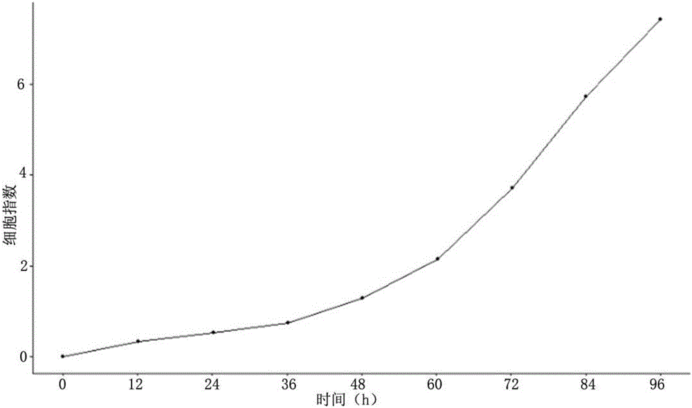 Esophageal cancer cell line and application thereof