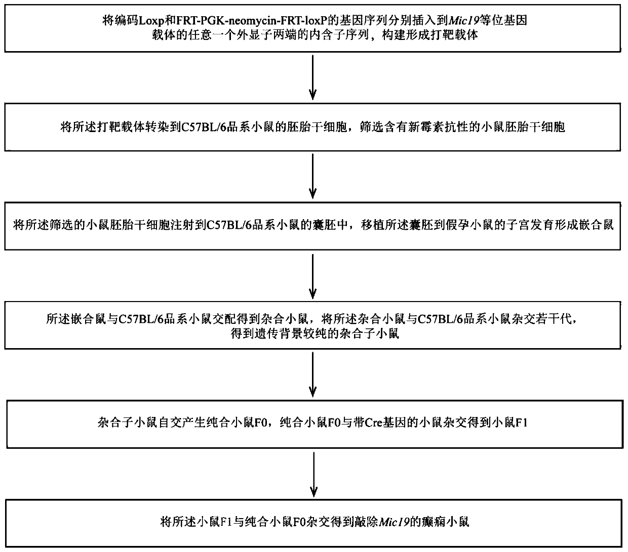 Method for constructing epilepsy animal model and application