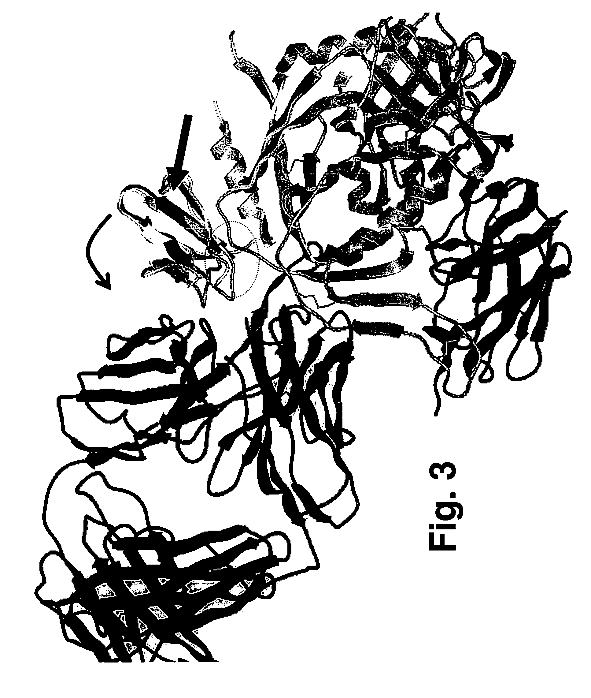 Method for determining co-receptor selectivity of Human Immunodeficiency Virus-1