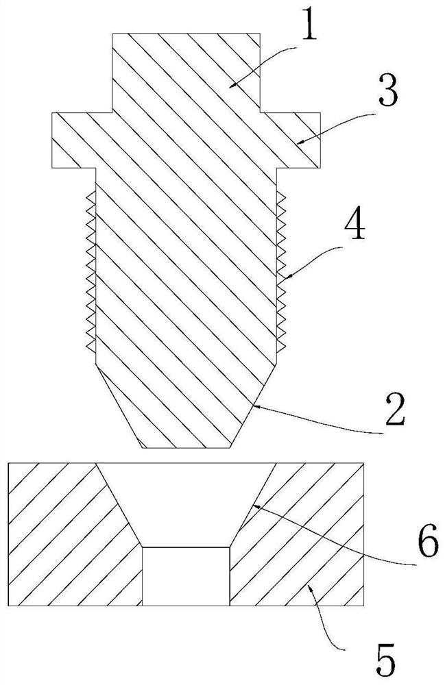 Aero-engine conduit conical surface coloring detection device and detection method