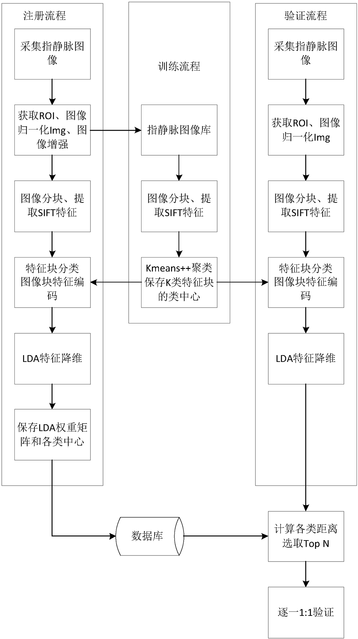 Finger vein recognition method, apparatus and device