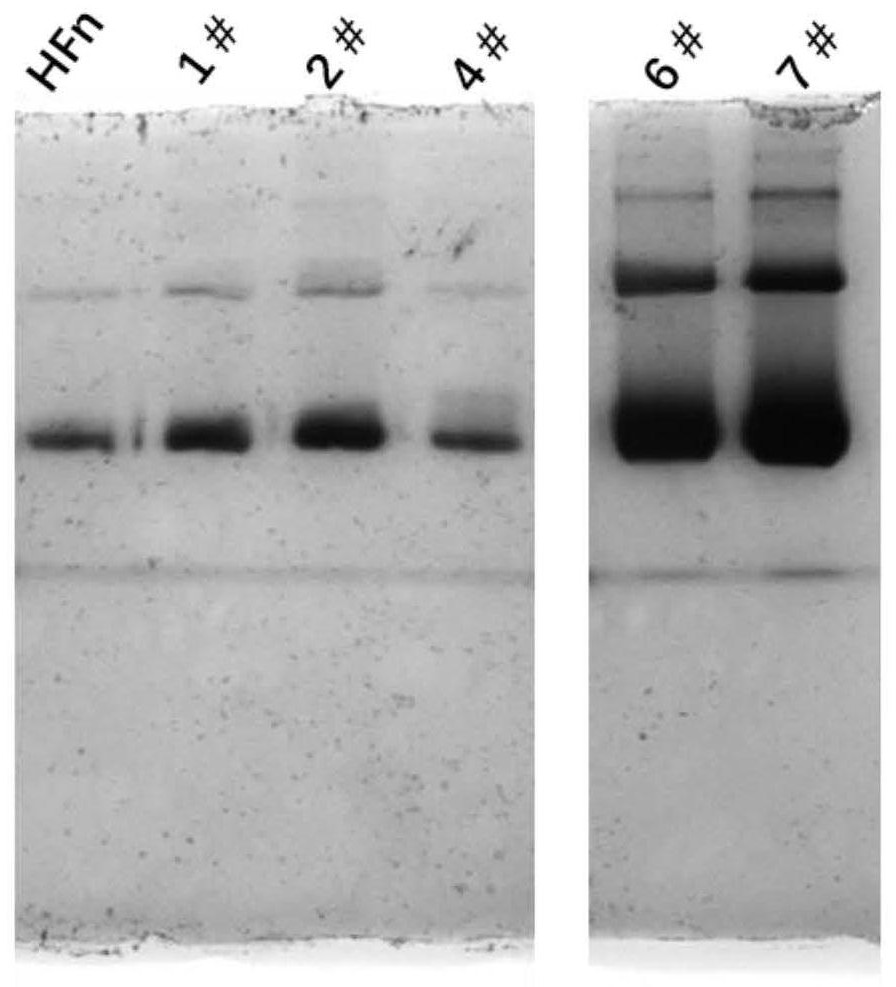 Nano-drug carrier, and preparation method and application thereof