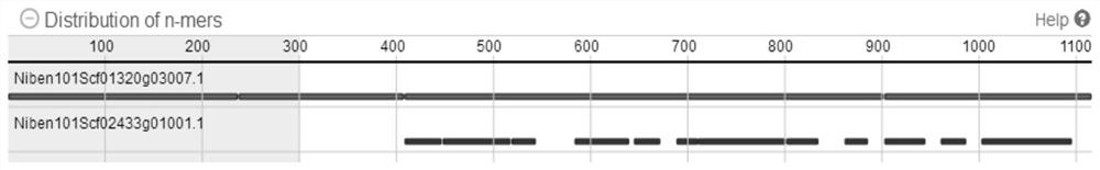 Use of an atg5 transient silencing carrier to alleviate the degradation of organelle-localized proteins