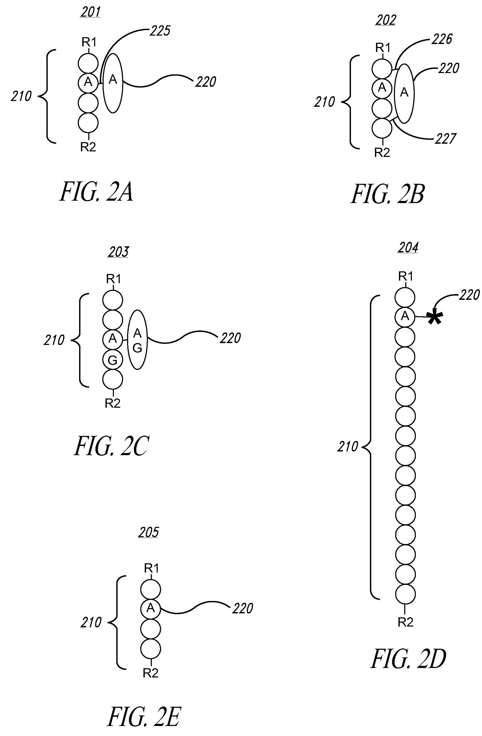 High throughput nucleic acid sequencing by spacing