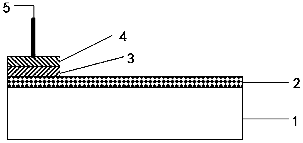 A kind of electrode material of diamond-based seawater salinity sensor