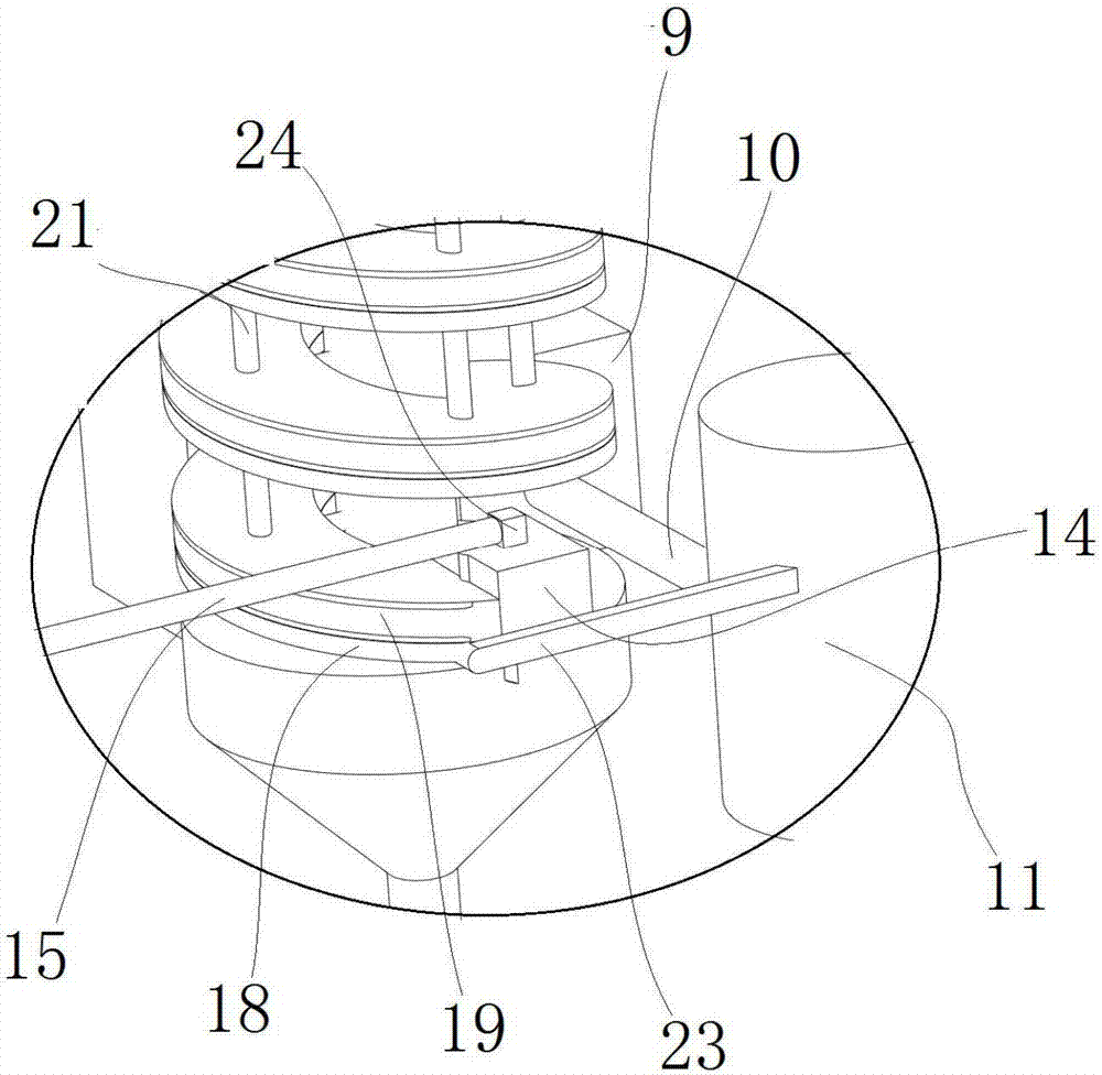 Granular preserved fruit food ingredient system and method