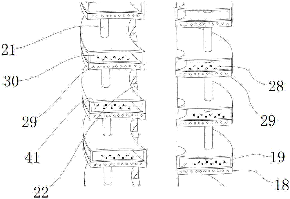 Granular preserved fruit food ingredient system and method