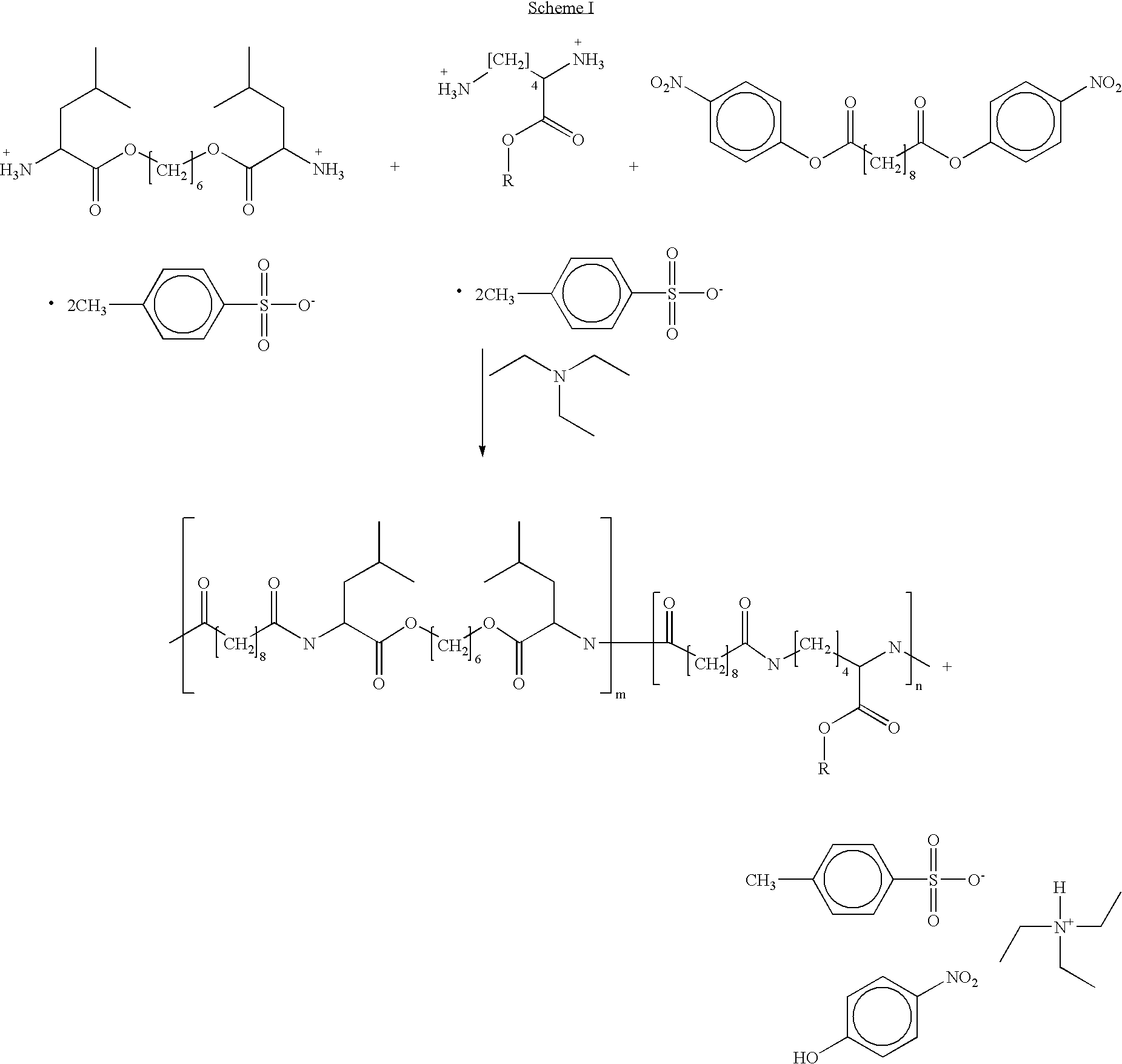 End-capped poly(ester amide) copolymers