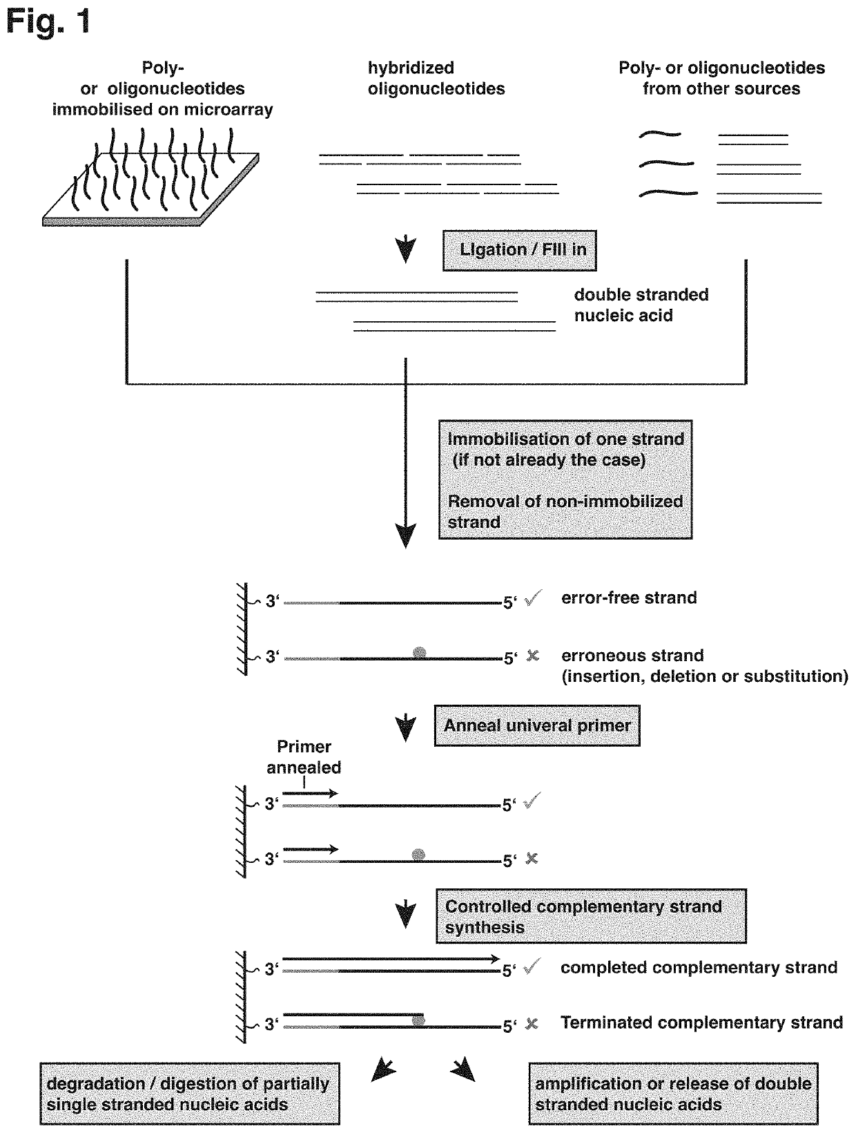 Method for selection of correct nucleic acids