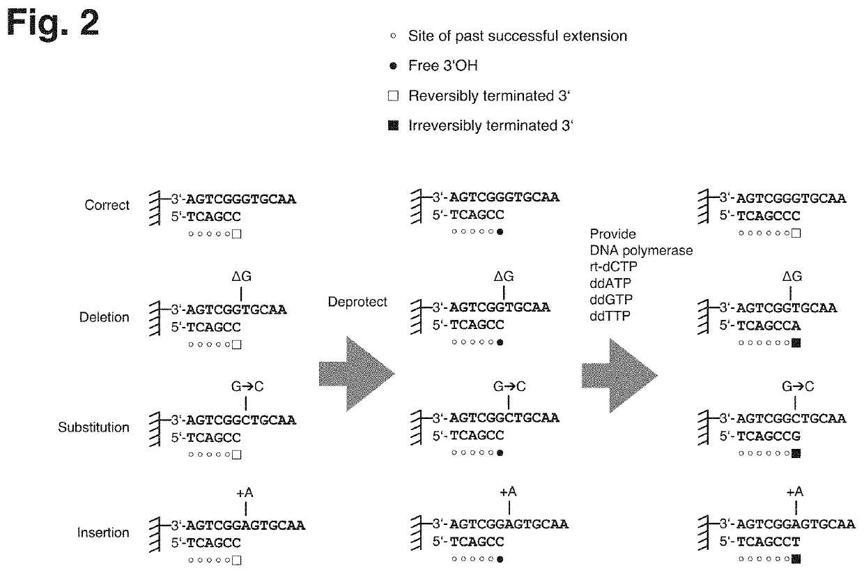 Method for selection of correct nucleic acids