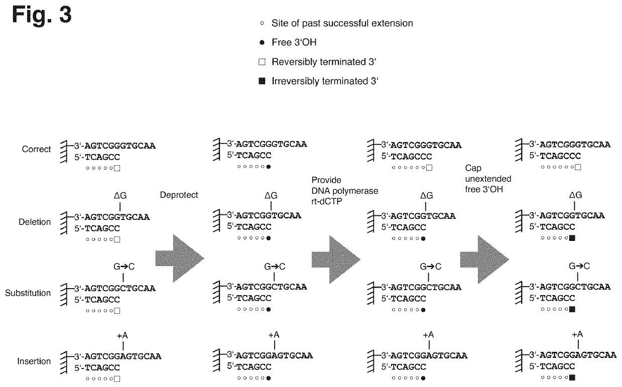 Method for selection of correct nucleic acids