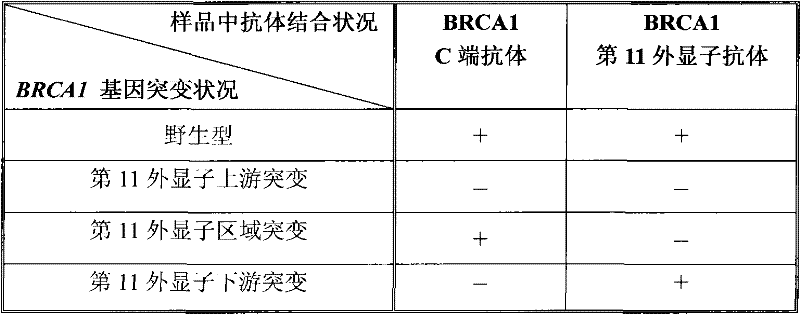 Antibody and diagnostic kit