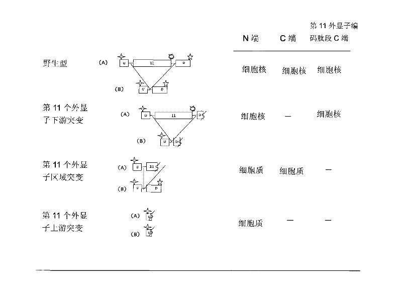 Antibody and diagnostic kit