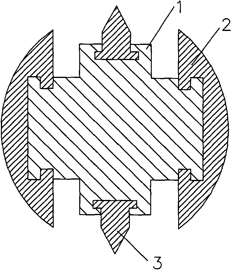 Device and method for directional fracture of rocks