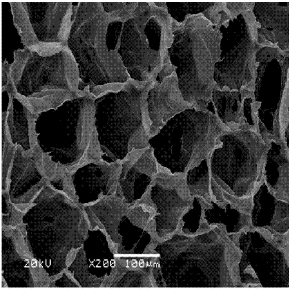 Polypropylene foam material and preparation method thereof