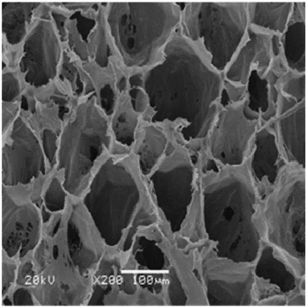 Polypropylene foam material and preparation method thereof