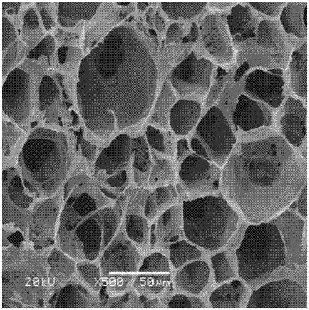 Polypropylene foam material and preparation method thereof