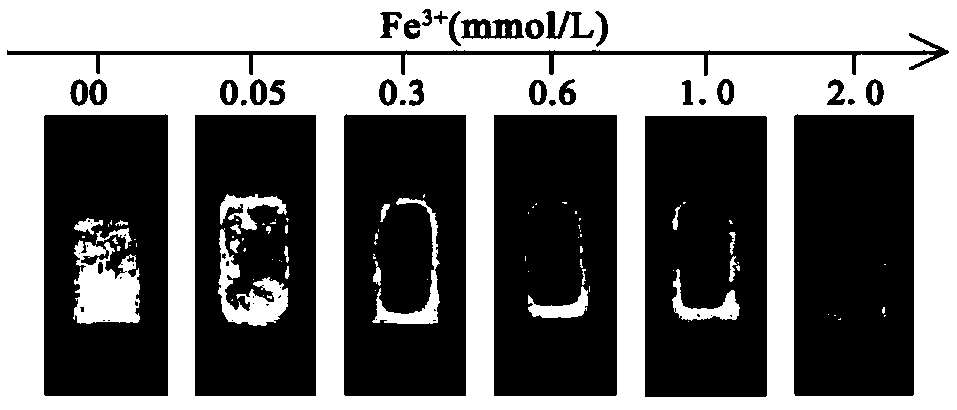 Fluorescent paper based sensor for visually detecting Fe&lt;3+&gt; and preparation method thereof