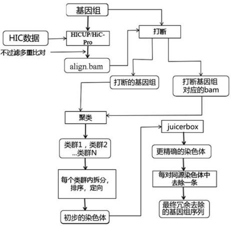 Method and device for eliminating redundancy of high-heterozygous diploid sequence assembling result and application of method and device