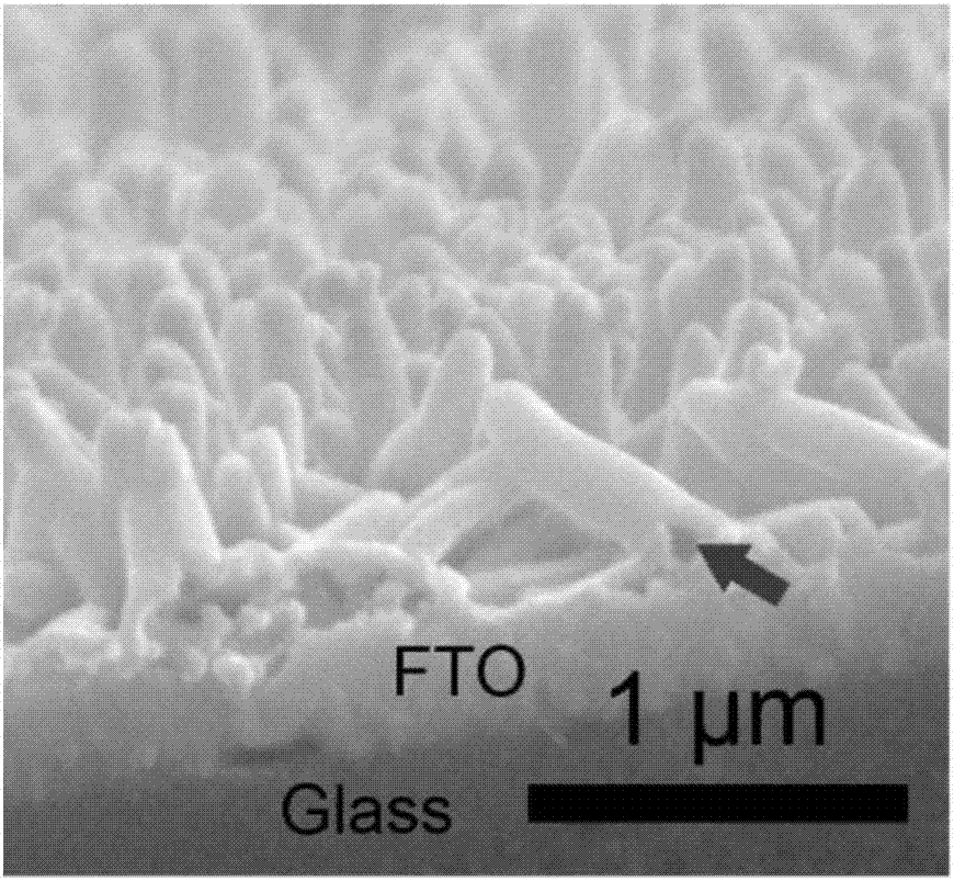 Lithium battery/smart window integral device based on titanium dioxide mesoporous nanotube array and preparation method of lithium battery/smart window integral device