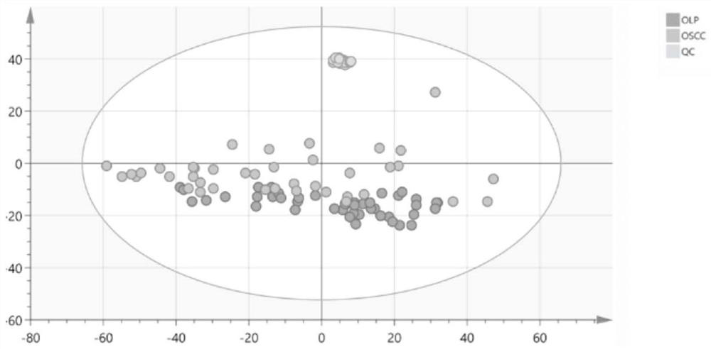 Construction methods, markers and applications of disease identification models